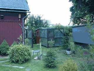 Das Zuhause unserer Sittiche !