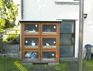 Der Wohnsitz unserer Kaninchen !